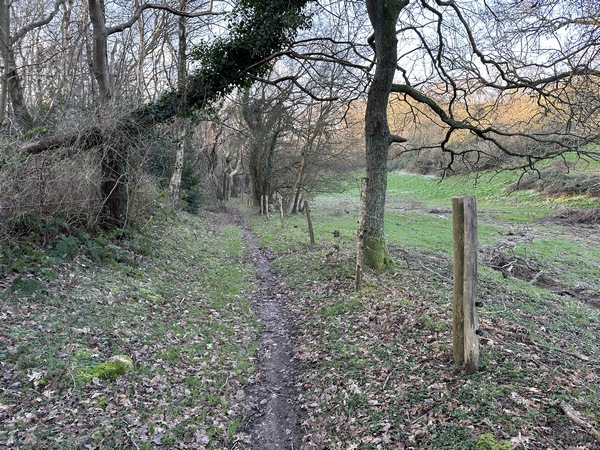 Les bois du coteau ont été malmenés par la tempête Ciaran début novembre 2023. En janvier 2024, le passage est toujours impossible pour les VTT, et dangereux pour des enfants.