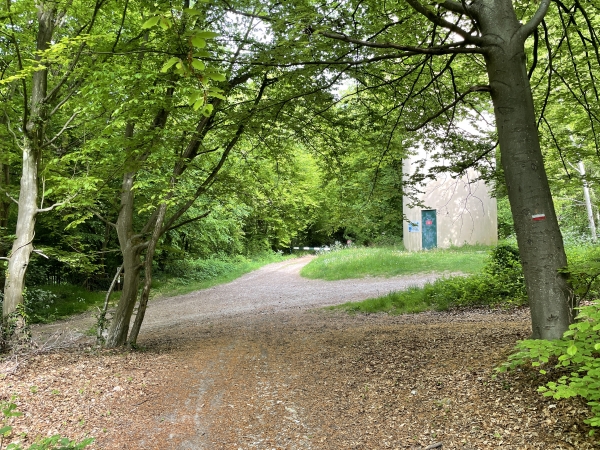Nous fermons la boucle à ce carrefour de chemins, près du château d'eau. Nous allons tourner à gauche pour sortir de la forêt domaniale.