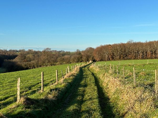 Nous descendons vers le bois du coteau de la Scie.