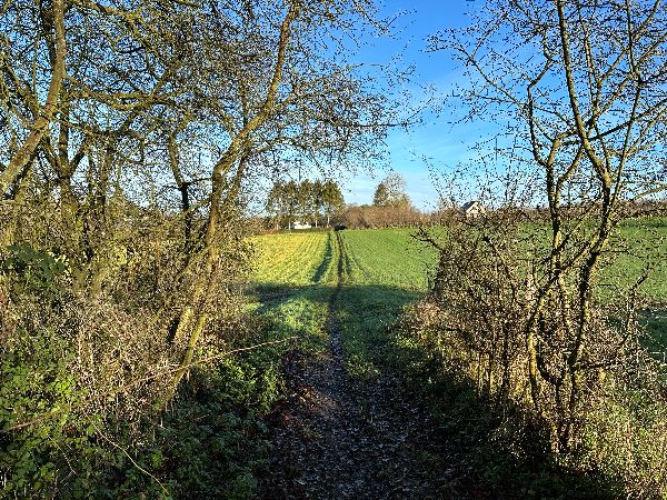 Nous sortons des bois au lieu-dit la Trompette.