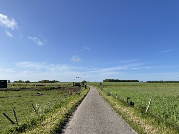 Nous suivons la petite et tranquille route des Monts pour revenir vers Bardouville.