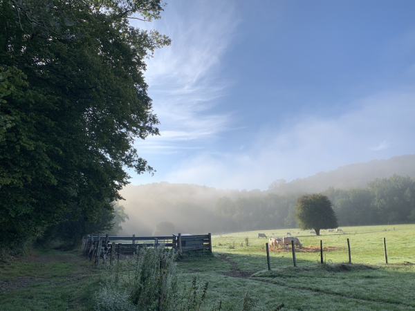 Notre chemin suit les Longues Vallées, au pied du coteau boisé et le long des prairies.