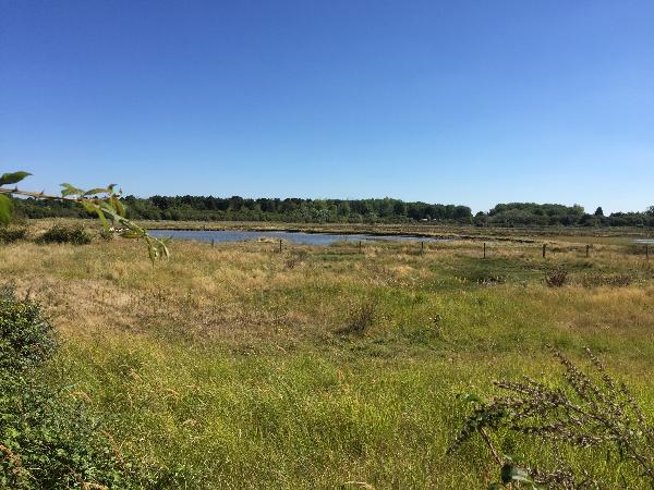Le Gros Banc est une réserve ornithologique. Plusieurs postes d'observation ont été installés le long du chemin.