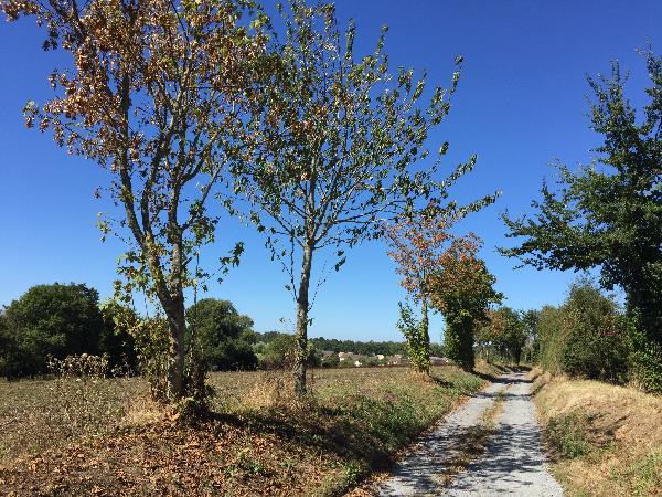 Nous arrivons à Merville par le hameau du Buisson.