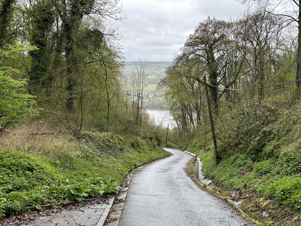 La rue de la Foulerie est une petite route qui descend jusqu'au bord de Seine.
