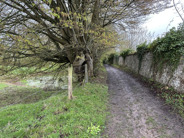 Nous suivons le chemin qui longe le mur du parc du château.