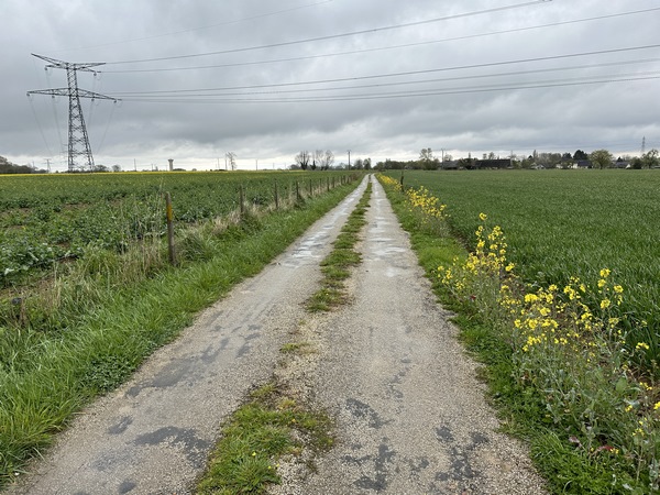 Au sommet, nous suivons les petites routes de Barneville-sur-Seine et Honguemare-Guénouville.&nbsp;