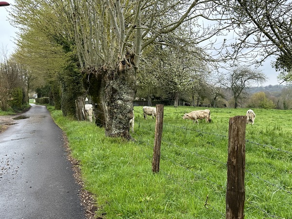Hameau de la Corderie à Barneville-sur-Seine.