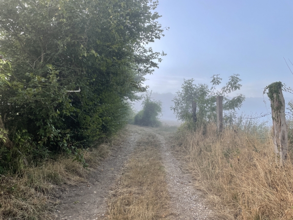 Nous montons la Voie aux Charettes en direction de la forêt. Nous sommes sur le GR23, et allons suivre ses balises rouges et blanches sur une moitié du circuit.