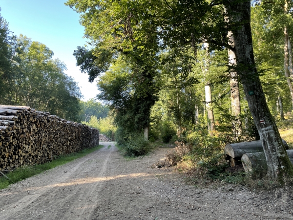 Nous avons rejoint le chemin du Val. Le GR23 va le suivre en tournant à gauche. Nous, nous quittons le GR23, et allons prendre le chemin dont on voit l'entrée à droite.