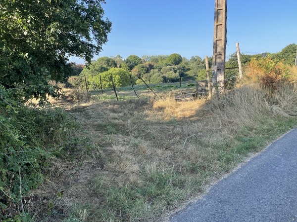 Nous quittons le chemin de la Houssaye pour suivre, à gauche, un sentier balisé de bleu.