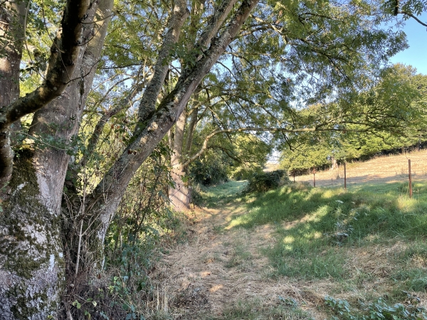 Le sentier se faufile entre les bosquets et les champs.