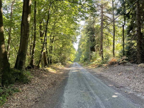 Nous arrivons sur le Chemin Perrey, ancienne voie romaine qui menait au port antique, et au gué de Seine qui permettait la liaison avec Lillebonne.