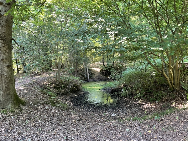 La mare servait aux occupants de la léproserie, et la tradition orale en a fait un lieu de cure dédié aux fièvres paludéennes.