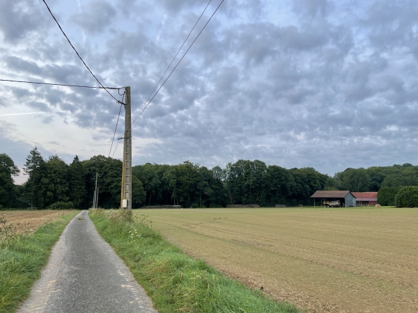 Nous commençons par marcher vers le sud, en direction du bois du Plessis. Le château du Plessis est quelque part derrière les granges, caché dans le bois.