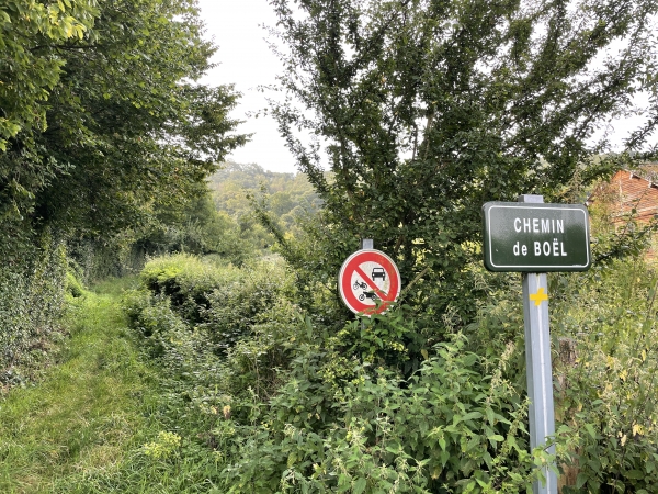 Nous quittons les marais pour monter ici le chemin de Boël en direction du GR23.