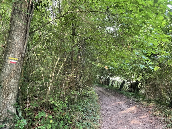 Nous rejoignons le GR23 et le suivons en direction de l'ouest.