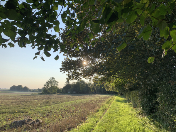 Nous avons traversé la D296 et montons sur les hauteurs d'Auffay.
