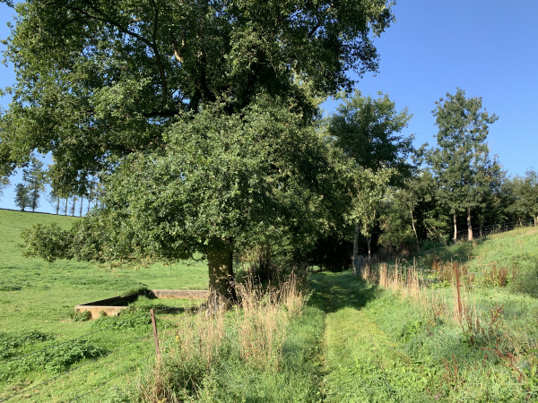 Chemin de la Côte du Parc, nous montons vers Notre-Dame-du-Parc.