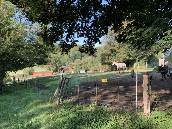 Nous suivons le chemin qui nous descend au hameau de Pont-Rouge. Après le hameau nous suivrons la petite route de Longtuit. Le manoir de Longtuit est éloigné de la route, mais on peut distinguer son colombier.
