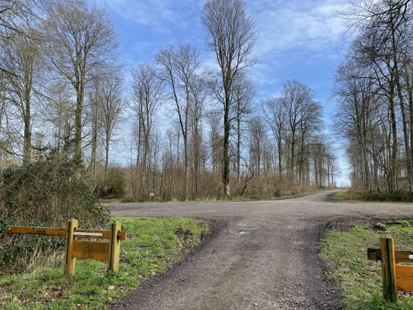 Au niveau de l'Allée des Limousins, nous prenons le premier chemin à gauche : la route forestière du Grand Maître.