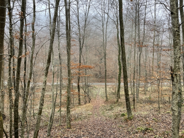 Nous quittons le chemin du Télégraphe pour descendre dans le val St-Martin et rejoindre la D48. Nous allons suivre la D48 à gauche sur 400 mètres.
