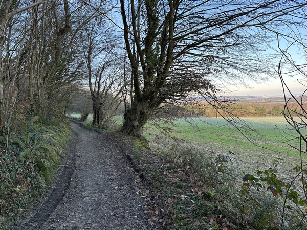 Après le hameau de la Côte Maquaire, la petite route est devenue un vrai chemin, et continue d'avancer à&nbsp; mi-pente entre le coteau boisé et la vallée.