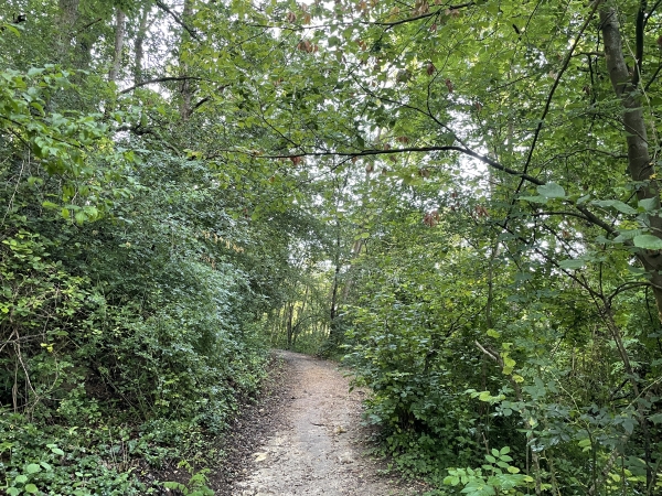 Nous quittons la Ligne Verte et montons la Côte du Valème dans le bois de Saint-Michel.