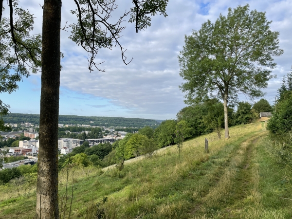 Regard arrière sur le chemin de la Côte Saint-Sauveur.