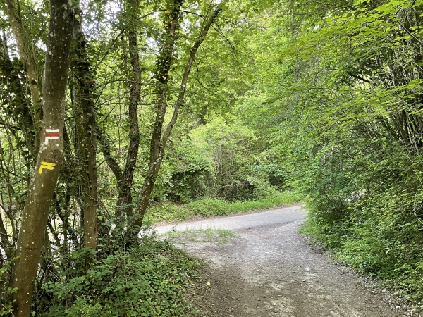 Nous rejoignons la voie verte Evreux - Pont-Authou. Cette voie verte est aménagée sur l'ancienne voie ferrée qui reliait Evreux à Honfleur, sauf ici où la voie verte suit la lisière du bois. Nous avons compté cette voie verte comme chemin dans le rapport chemins/routes de cette randonnée.