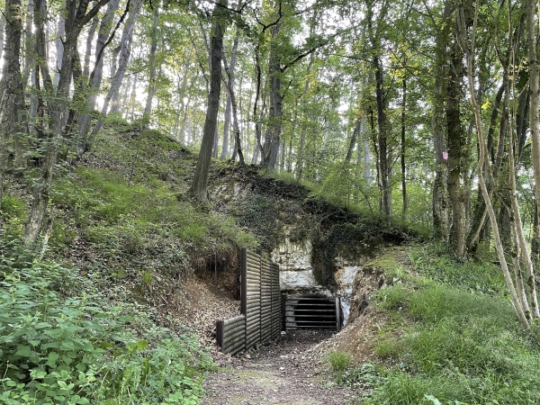 Grotte du fond de la Mare d'Orléans.