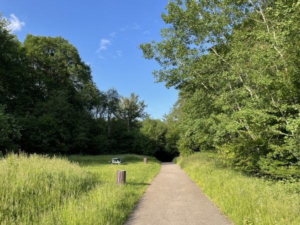 La voie verte est très bien aménagée et entretenue. Notre seul regret, comme souvent, est le type d'enrobage choisi... Notre référence en la matière est la voie Claude Lemesle dans la vallée de l'Austreberthe.
