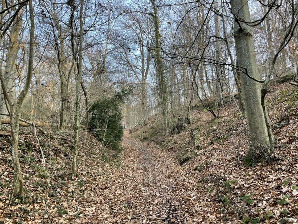 Nous montons sur le coteau en direction du chemin de crête.