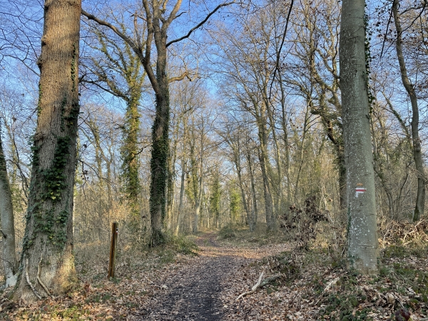 Nous quittons le GR pour continuer tout droit en direction de la D130.