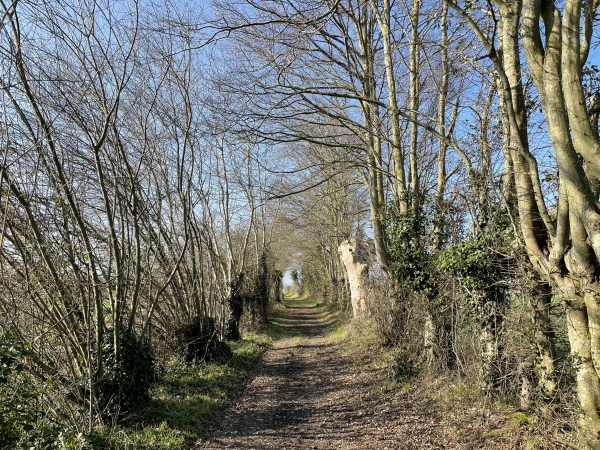 Au sommet, nous trouvons le GR224 RG, que nous suivons en direction du sud.