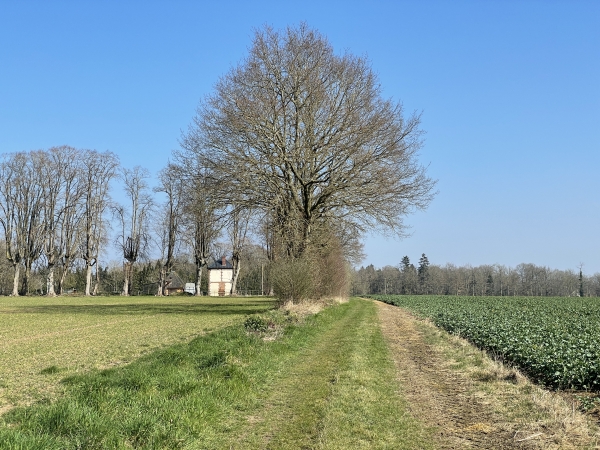 Nous sommes maintenant sur le chemin de la Briqueterie, au sommet de d'une colline préservée, entourée de bois, et bordée par le Bréard, la Risle et l'Authou.