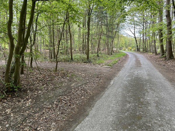 Le Chemin du Péroir prolonge la route des Granges. Il ne faut pas rater l'entrée sur le prochain chemin que l'on distingue à peine, ici à gauche.