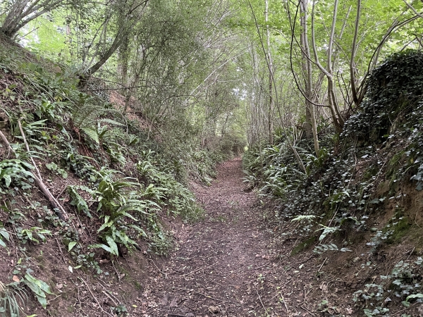Oups ! Fausse route. Ce beau chemin creux n'est pas le nôtre : il faut tourner à droite avant de monter sur la colline.
