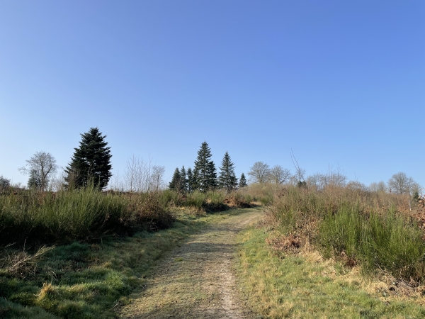 Nous avons rejoint le chemin du Mailleret et marchons maintenant vers l'est.