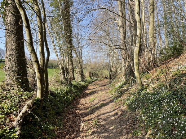 Comme on le voit sur les cartes, il est possible de couper pour monter directement vers Brestot. Mais ce serait se priver de ce chemin...