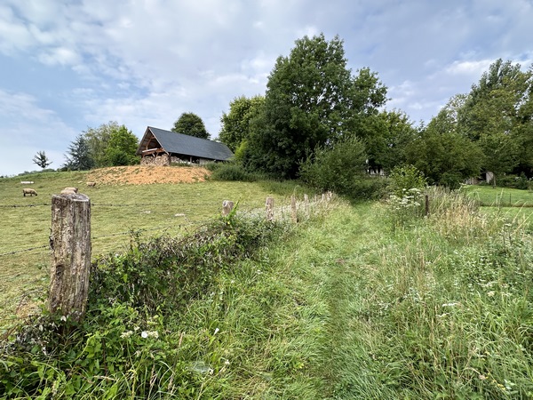 Nous remontons vers la route de Selles.