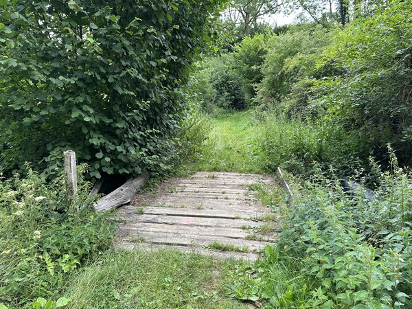 Nous traversons le ruisseau de la fontaine Barbotte pour remonter vers Selles.
