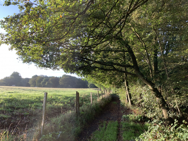 Nous suivons le chemin du Mont Rôti.
