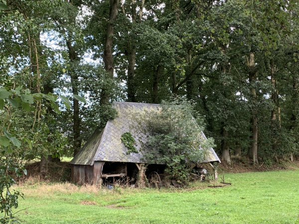 Le Fys, cette vieille grange a conservé son matériel qui disparait sous la végétation. Derrière elle, le clos masure planté de chênes entoure encore la ferme.