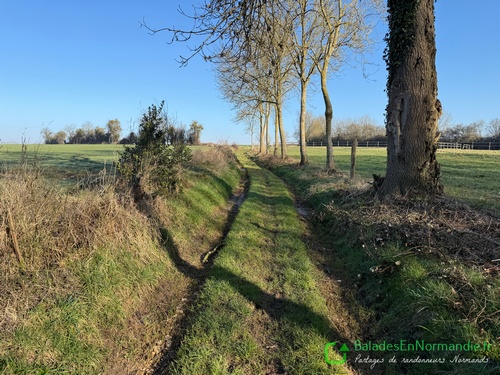 Au hameau des Livrées se trouve ce chemin de la Marche au Diable qui traverse la plaine au-dessus du Fond de la Vierge Marie.