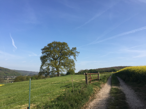 Nous traversons Charleval et montons vers la forêt par le chemin du Cimetière.
