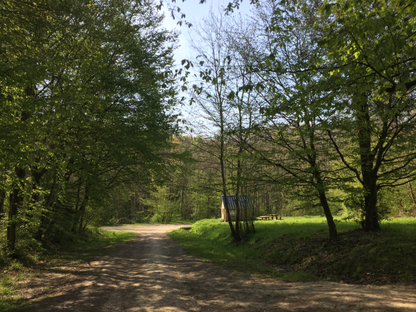 Nous arrivons au carrefour de Beaunay, avec son abri et son aire de pique-nique. Nous allons tourner à gauche sur la route forestière du Grand Maître.