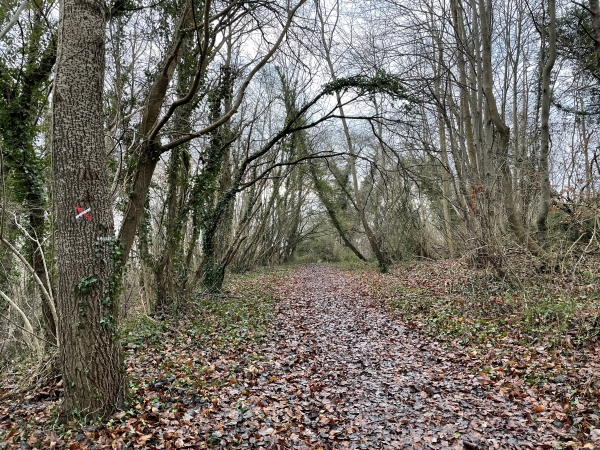 Au sommet, nous quittons le GR2 pour tourner vers la D6015.