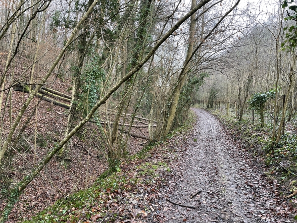 Chemin de la Vallée au Gué. A notre gauche, la colline n'a pas toujours été un bois et porte le nom des Vignes.