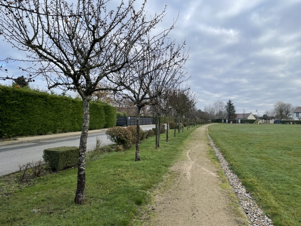 Nous traversons le hameau, suivons la petite route des Monts et arrivons à Vironvay.
